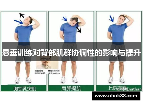 悬垂训练对背部肌群协调性的影响与提升